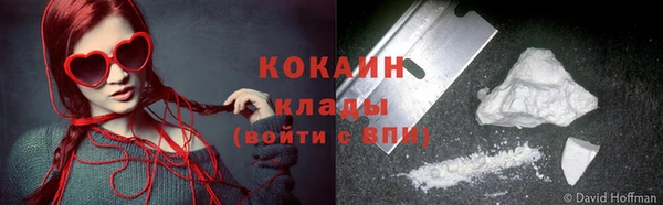 ГАЛЛЮЦИНОГЕННЫЕ ГРИБЫ Бородино