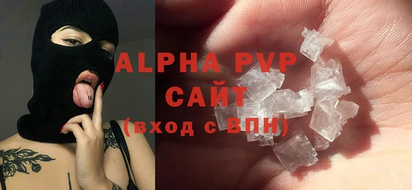 ГАЛЛЮЦИНОГЕННЫЕ ГРИБЫ Бородино
