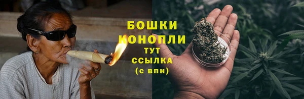 ГАЛЛЮЦИНОГЕННЫЕ ГРИБЫ Бородино