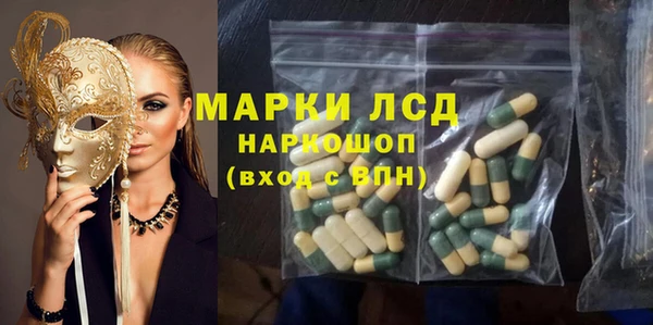 ГАЛЛЮЦИНОГЕННЫЕ ГРИБЫ Бородино
