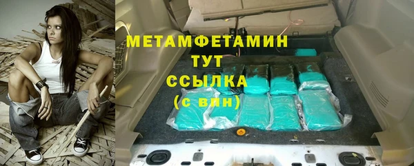 ГАЛЛЮЦИНОГЕННЫЕ ГРИБЫ Бородино