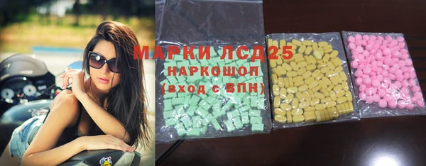 ГАЛЛЮЦИНОГЕННЫЕ ГРИБЫ Бородино