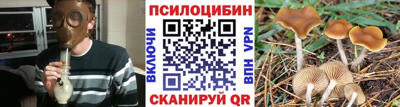 Псилоцибиновые грибы мицелий  купить наркоту  Ува 